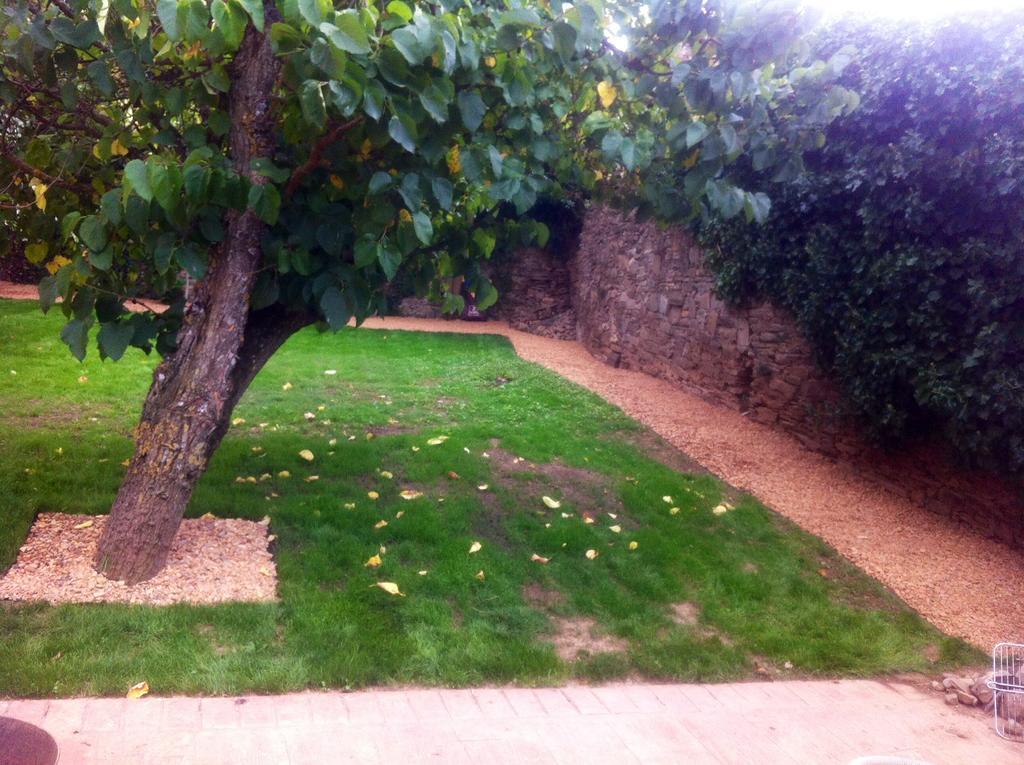 Casa Rural Pico Del Lugar Villar de los Barrios ภายนอก รูปภาพ